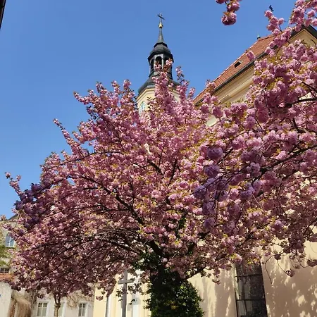 Apartament Przy Zamku Pszczyna