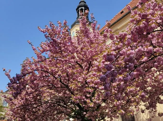 Apartament Przy Zamku Pszczyna